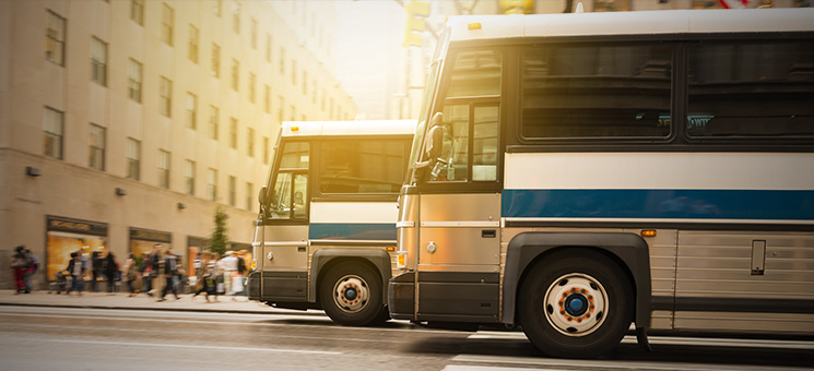 Philadelphia Buses on the road